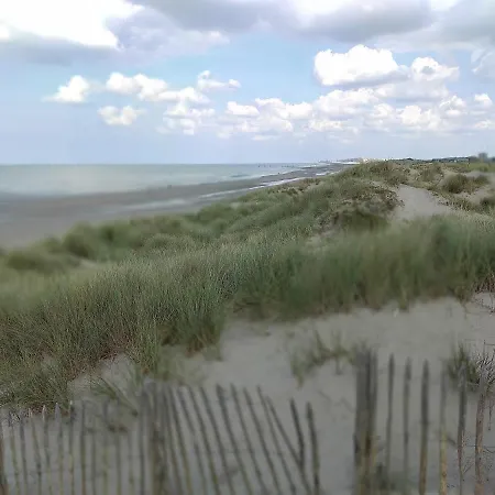 Lägenhet Studio Havenzicht Nieuwpoort